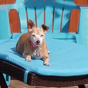 Meet your Posher, Karen